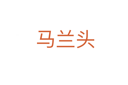 马兰头