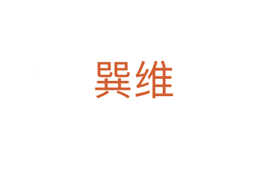 巽维