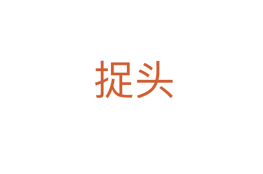捉头