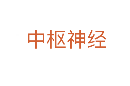 中枢神经