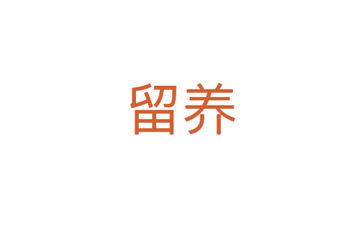 留养
