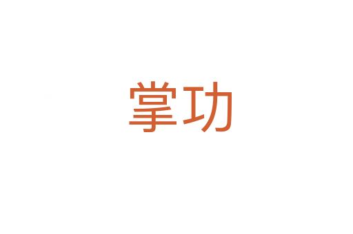 掌功