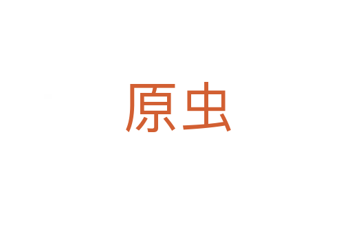 原虫