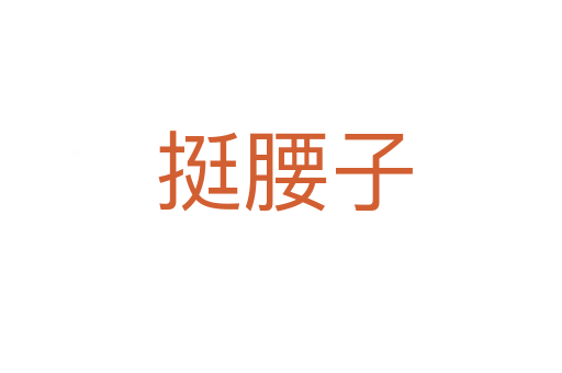 挺腰子