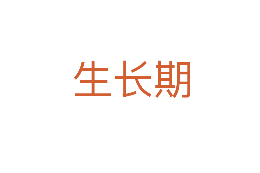 生长期
