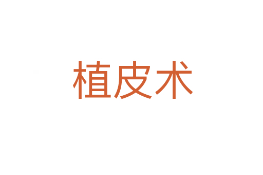 植皮术