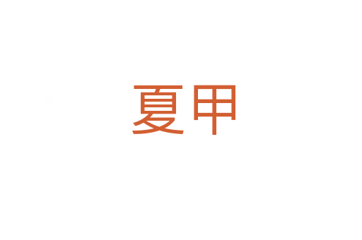 夏甲