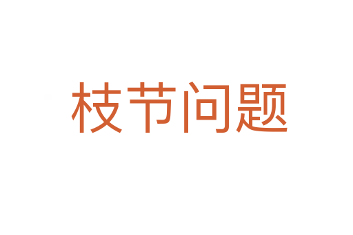 枝节问题