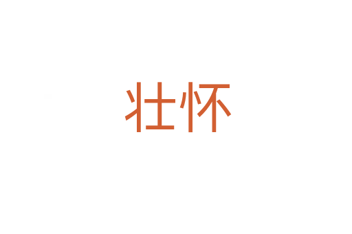 壮怀