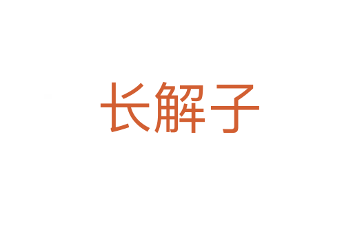 长解子