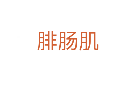 腓肠肌