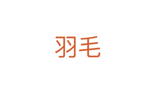 羽毛