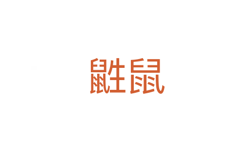 鼪鼠