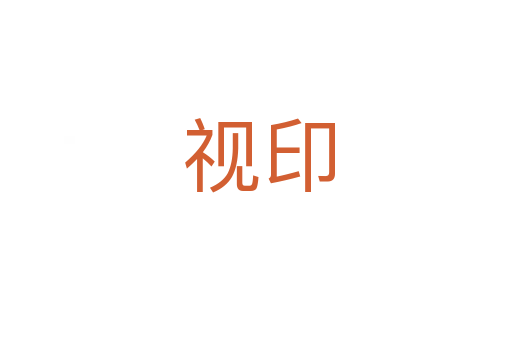 视印