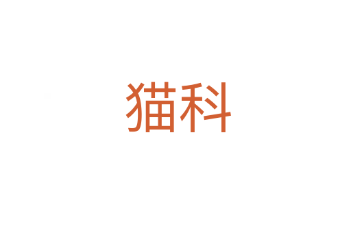 猫科