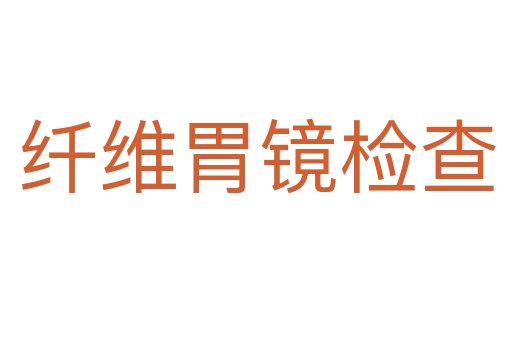 纤维胃镜检查