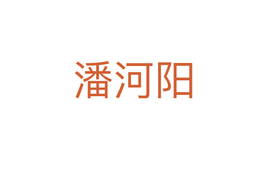 潘河阳