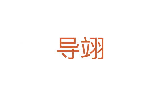 导翊