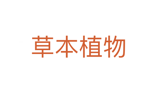 草本植物