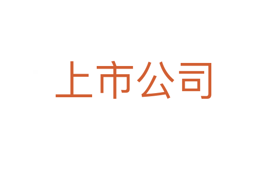上市公司