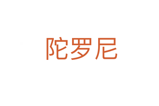陀罗尼