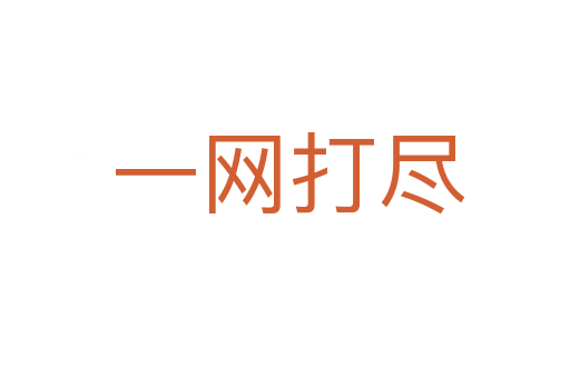 一网打尽