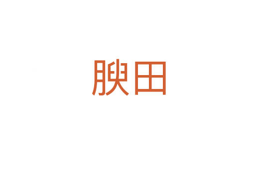腴田