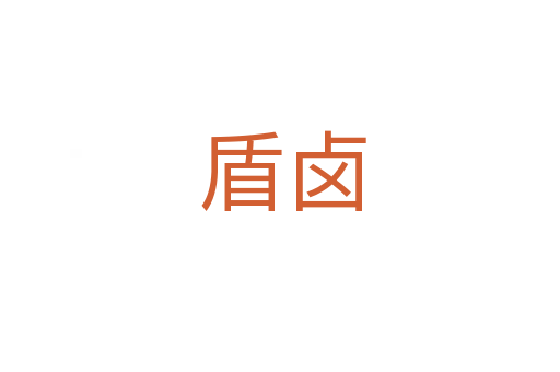 盾卤