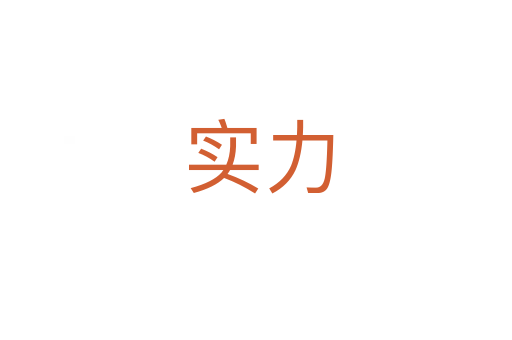 实力