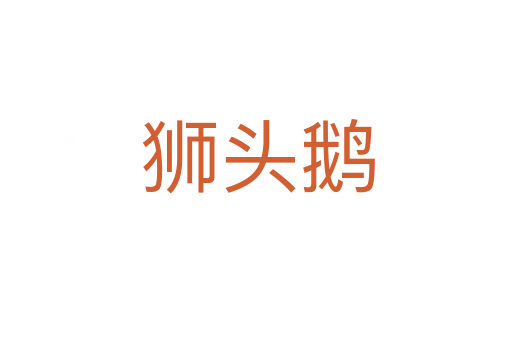 狮头鹅