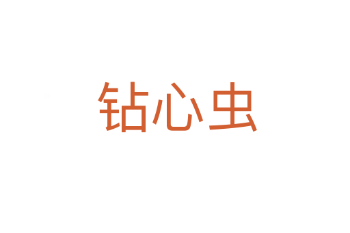 钻心虫
