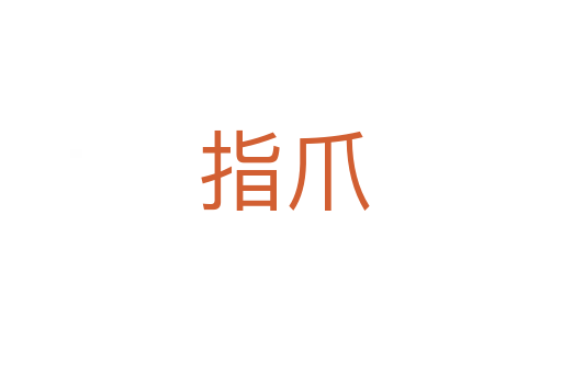 指爪
