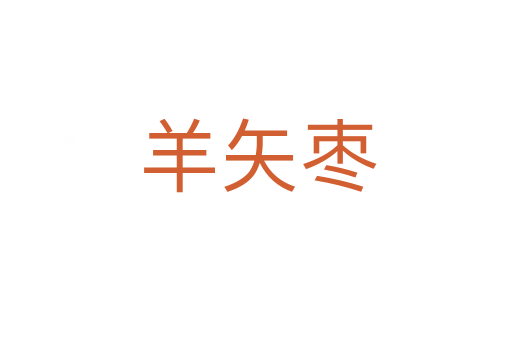 羊矢枣