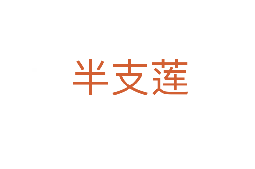 半支莲