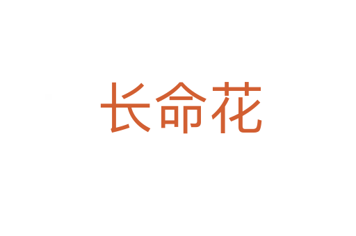 长命花