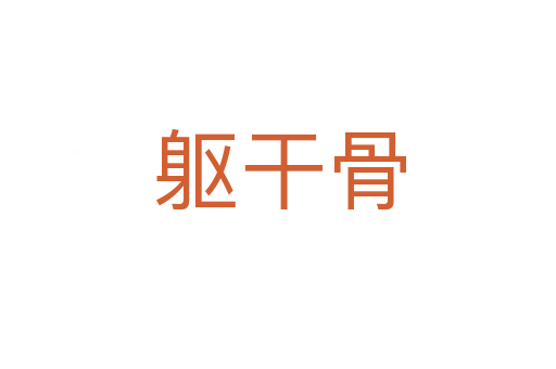 躯干骨