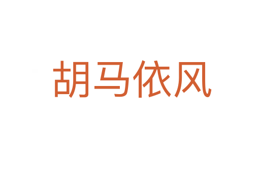 胡马依风