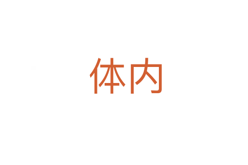 体内
