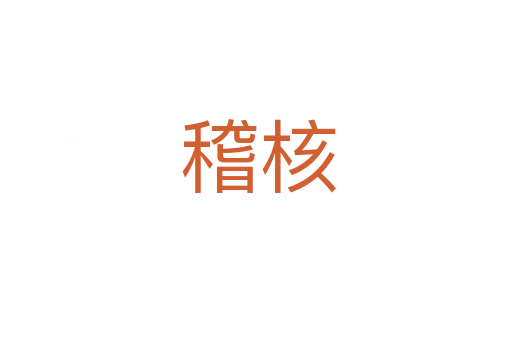 稽核