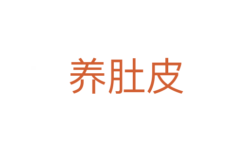 养肚皮