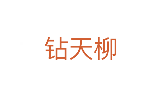 钻天柳