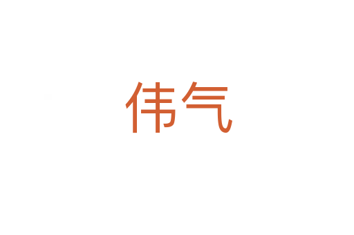伟气