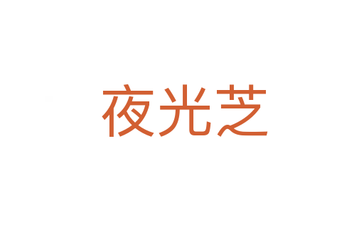 夜光芝