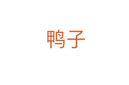 鸭子