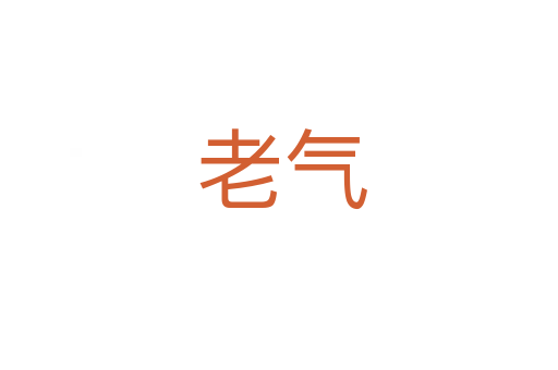 老气