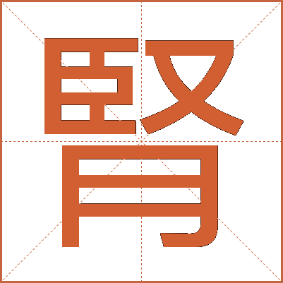 腎