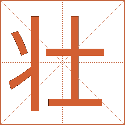 壮