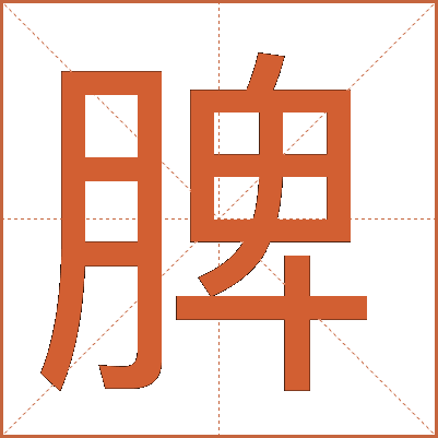 脾