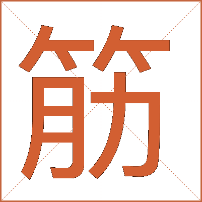筋