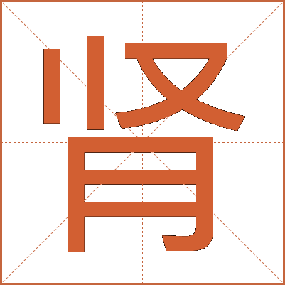 肾